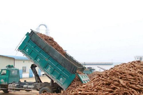 Sinh viên Thái Lan biến rác thải nông nghiệp thành đá quý