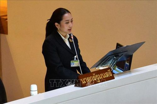 Nữ Thủ tướng Thái Lan Paetongtarn Shinawatra kê khai tài sản