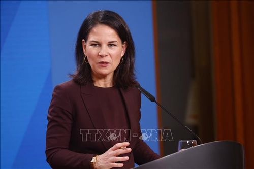 Đức, Pháp muốn hỗ trợ tiến trình chuyển giao quyền lực ở Syria