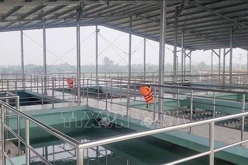 Bình Định: Huyện Phù Cát sắp có nhà máy nước sạch sau nhiều năm chờ đợi