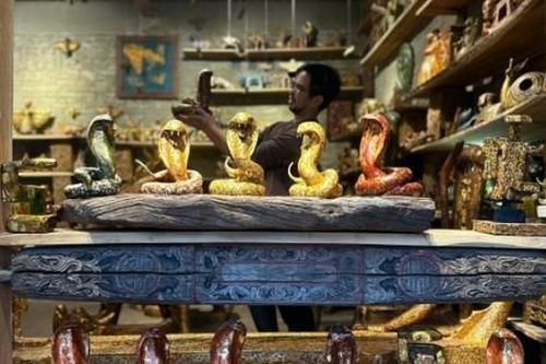 Ngắm 'đàn rắn lạ' của 8x Hà Nội, giá lên tới 5 triệu đồng/con