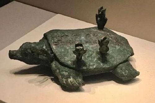 Ông lão đi câu cá nhặt được rùa cổ bằng đồng, không ngờ là báu vật 3.000 tuổi có giá 6.000 tỷ đồng