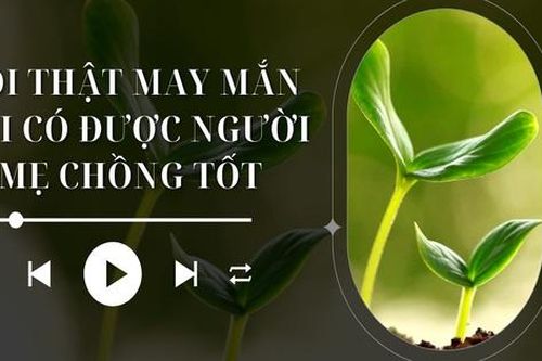 Audio: Mẹ chồng bảo vệ 'cô con dâu suýt ế'