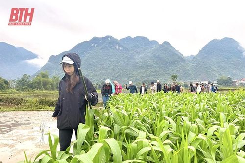 Phát triển trekking tour theo hướng chuyên nghiệp, hấp dẫn