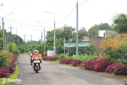 Đồng Nai phấn đấu thêm 8 xã nông thôn mới nâng cao, 4 xã kiểu mẫu trong năm 2025