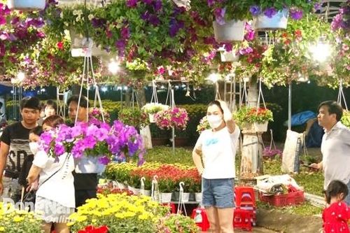 Khắp nơi trong tỉnh ngày 3-1-2025