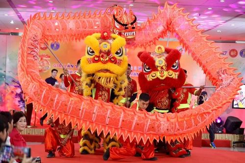 Giải lân sư rồng quận 5, Thành phố Hồ Chí Minh: Nhiều đội quốc tế tham gia tranh tài