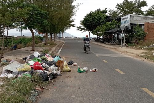 Bỏ rác bừa bãi bên đường