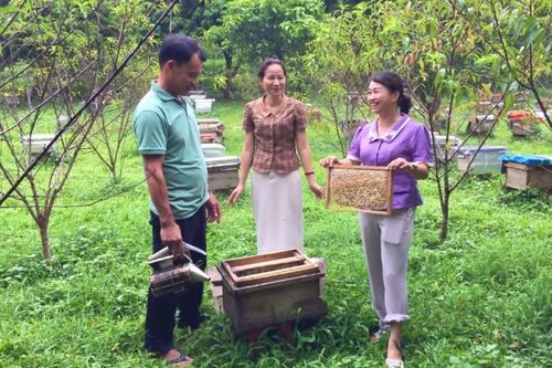 Chăn nuôi theo tiêu chuẩn VietGAP: Hướng phát triển bền vững