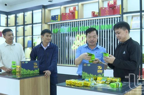 Khi cấp ủy làm tròn vai