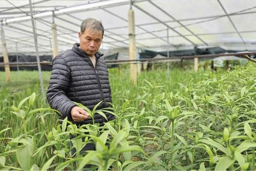 Đặc sản cho vụ Tết