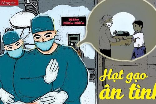 Hạt gạo ân tình
