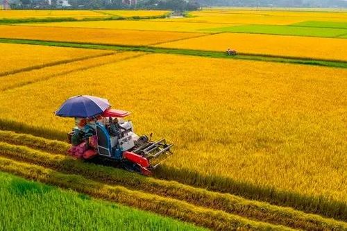 Năm 2025, ngành nông nghiệp dự kiến tăng trưởng 3,3 - 3,4%
