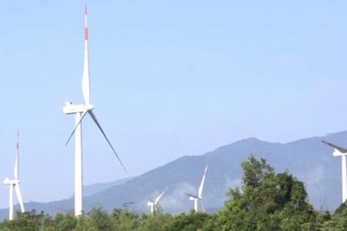 Hai dự án điện gió do Tân Hoàn Cầu làm chủ đầu tư bị đề nghị điều tra