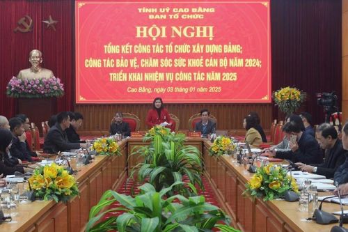 Triển khai công tác tổ chức xây dựng Đảng năm 2025