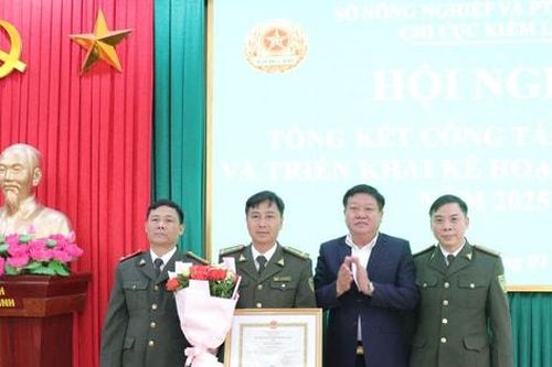 Kiểm lâm Hà Nội xử lý 107 trường hợp vi phạm trong lĩnh vực lâm nghiệp