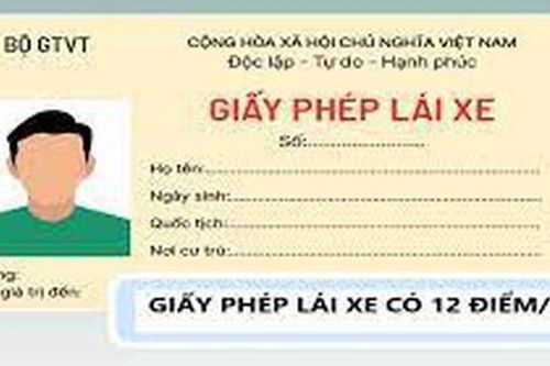 Người dân cần chú ý những lỗi sau để không bị trừ điểm trên giấy phép lái xe