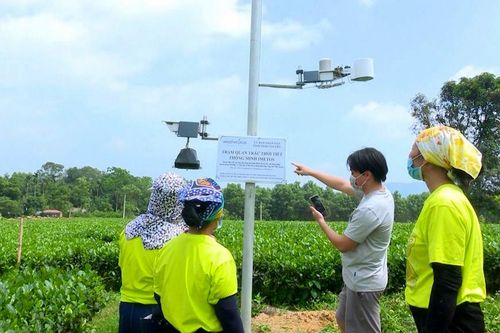 Hỗ trợ ứng dụng khoa học, công nghệ cho khu vực nông thôn, miền núi