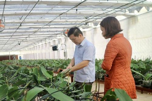 Khoa học, công nghệ – động lực tăng trưởng kinh tế của Cao Bằng