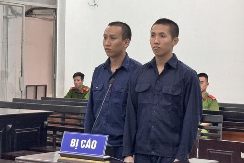 Hợp sức đánh người, 2 anh em xộ khám