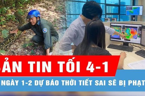 Bản tin tối 4-1: Từ 1-2 dự báo thời tiết sai sẽ bị phạt; Phát hiện trăn gấm 'khổng lồ' dài 4m, nặng gần 100kg tại Phú Quốc