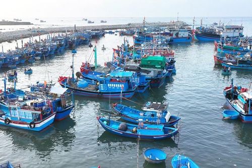 Rộn rã ngư trường Ninh Thuận đầu năm 2025