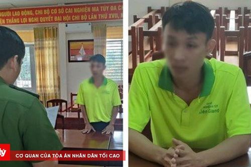 Lừa đảo bán gỗ trắc để chiếm đoạt hàng trăm triệu đồng