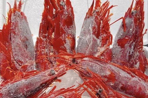 Tôm quỷ đỏ đắt nhất thế giới đổ bộ chợ Tết Ất Tỵ, giá 4,7 triệu đồng/kg