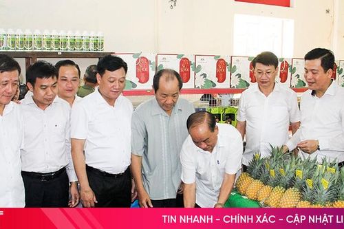 Doanh nghiệp Quế Lâm mở rộng sản xuất nông nghiệp hữu cơ tại Hà Tĩnh