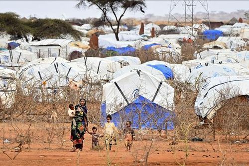 Trên 9 triệu trẻ em Ethiopia không được đến trường do xung đột và thiên tai