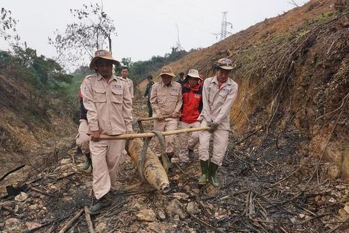 Phát hiện bom nặng hơn 220kg còn nguyên ngòi nổ khi đào đất trồng cây
