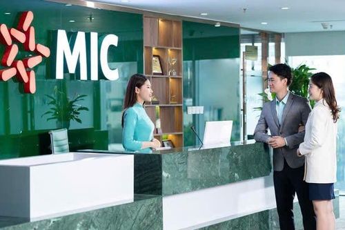 Quỹ đầu tư 22.000 tỷ đồng 'đặt cược' lớn vào MIG: Kỳ vọng tăng trưởng thị trường bảo hiểm