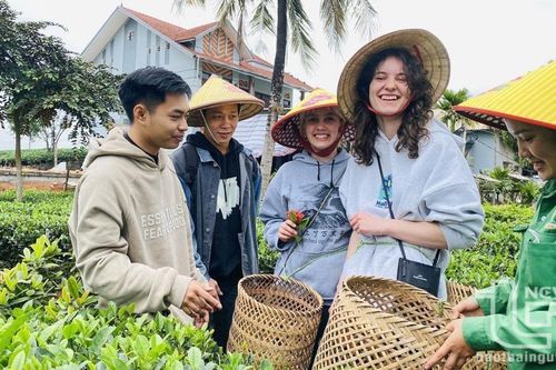 Thong dong câu chuyện văn hóa trà