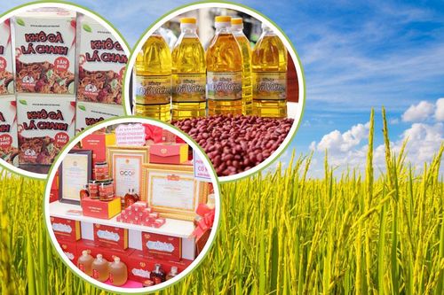 Thương hiệu sản phẩm OCOP Phú Bình