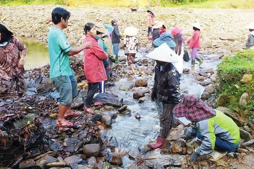 Khắc phục thủy lợi, ổn định sản xuất