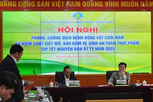 Việt Nam mới chỉ có khoảng 10% cơ sở giết mổ động vật công nghiệp