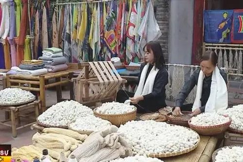 Khám phá 'Quà tặng của nhân gian' tại Văn Miếu
