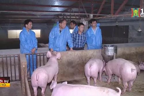 Kiểm soát an toàn thực phẩm dịp Tết