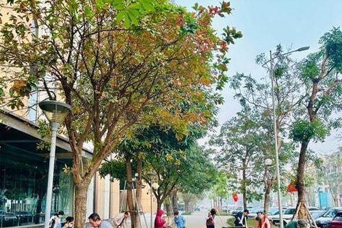 Quận Tây Hồ duy trì nền nếp tổng vệ sinh môi trường