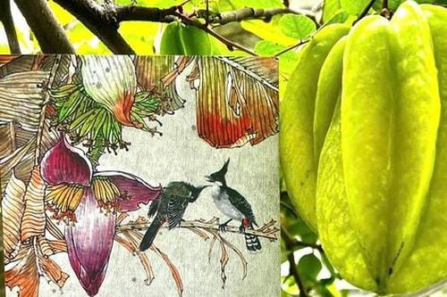 'Bóng cũ mùa xưa' chưa thôi vương vấn