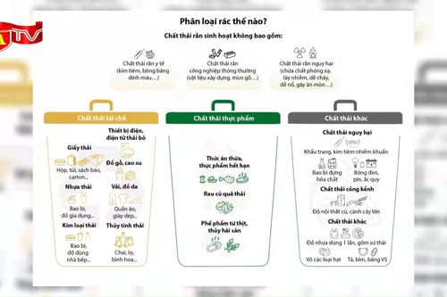 Hướng dẫn nhận biết các loại rác thải