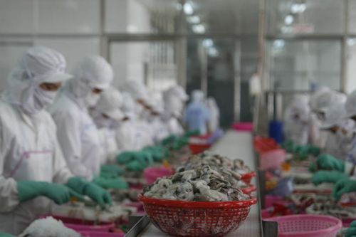 Doanh nghiệp, địa phương quyết tâm tăng trưởng cao