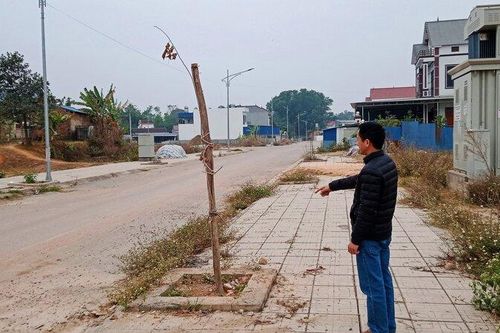 Thái Nguyên: Vắng bóng cây xanh tại các khu tái định cư ở thành phố Phổ Yên