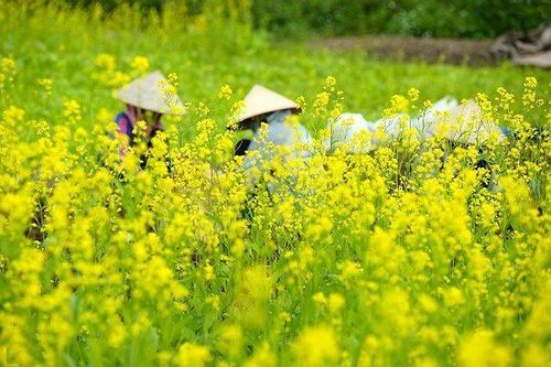 Miền ký ức tháng Chạp