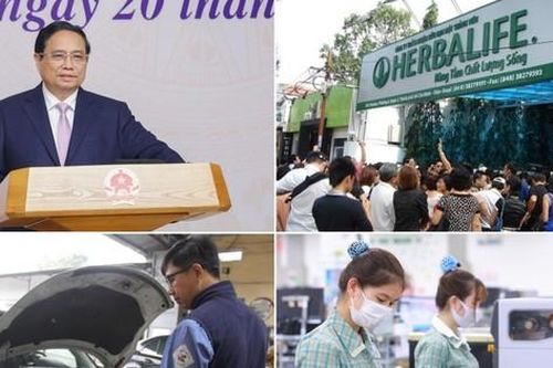 Lý do nhiều ô tô bị từ chối đăng kiểm; xử phạt loạt doanh nghiệp đa cấp