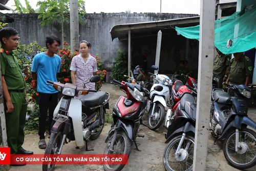 Bắt giữ hai vợ chồng về hành vi trộm cắp tài sản