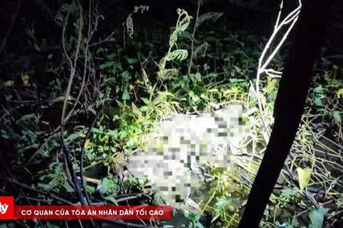 Phát hiện bộ xương người dưới mương nước