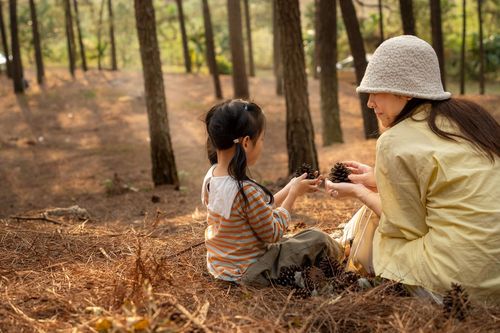 Địa điểm cắm trại như 'Đà Lạt thu nhỏ' ở Hà Nội, khách ghé thăm 3 lần chưa chán