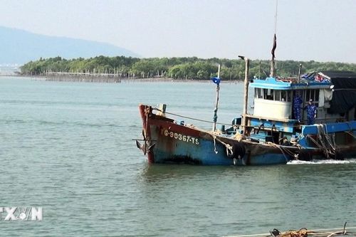 Phát hiện tàu cá vận chuyển khoảng 50.000 lít dầu DO không rõ nguồn gốc
