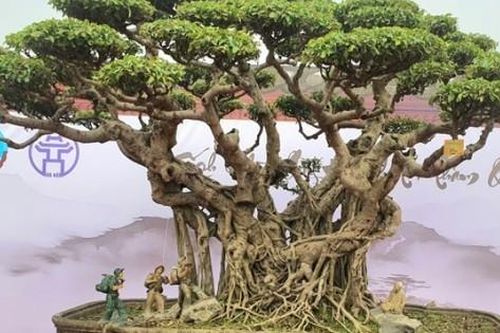 Ngắm 'báu vật' của nghệ nhân Hà Nội, được trả bao nhiêu tiền chủ nhân cũng không bán